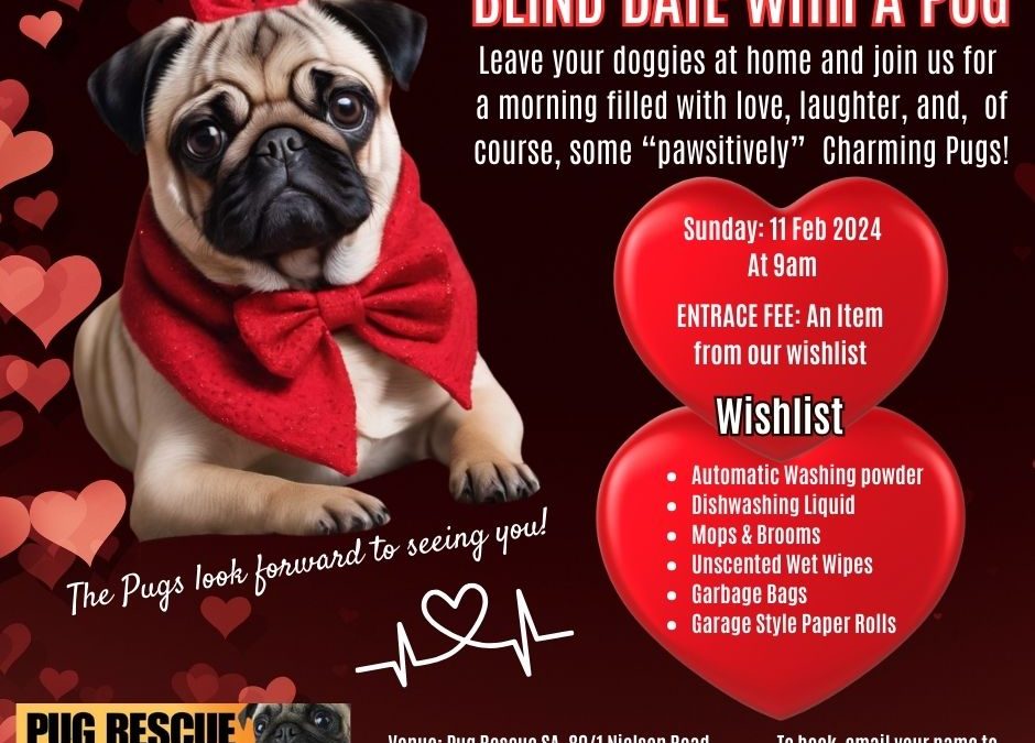 Blind Date With A Pug